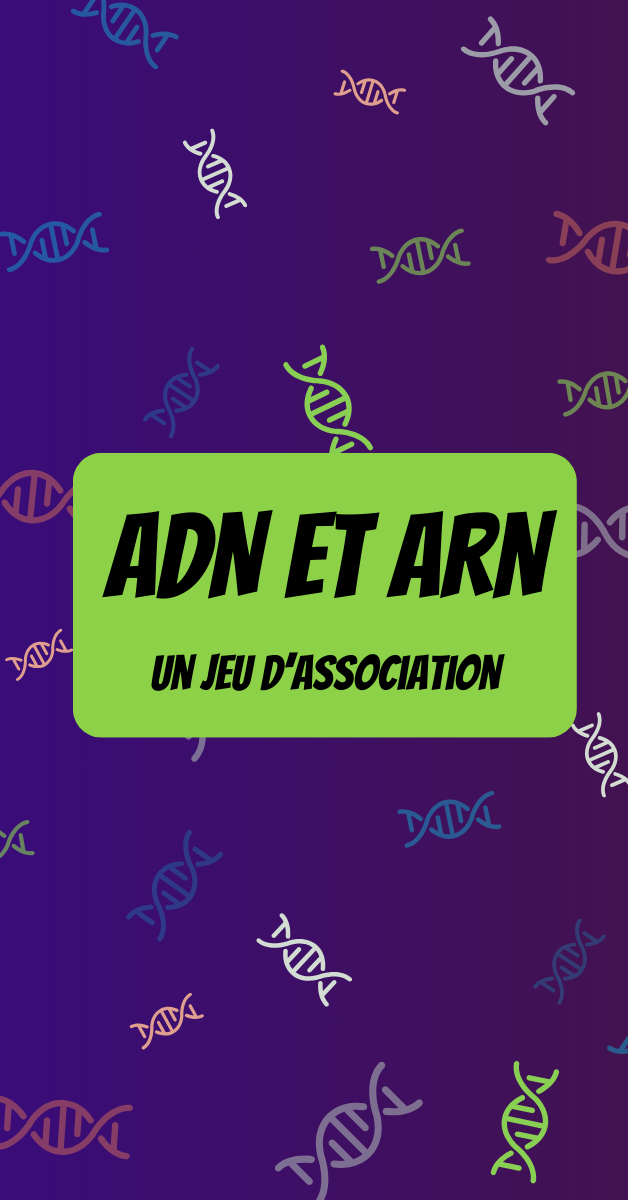 ADN et ARN