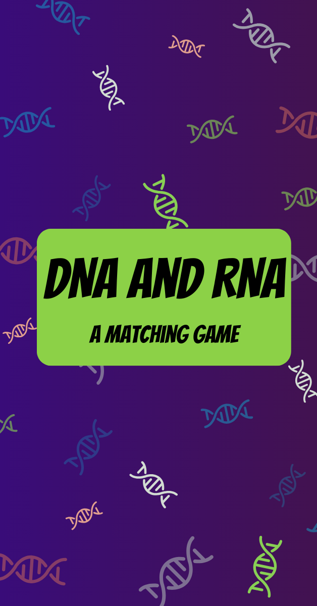 DNA and RNA